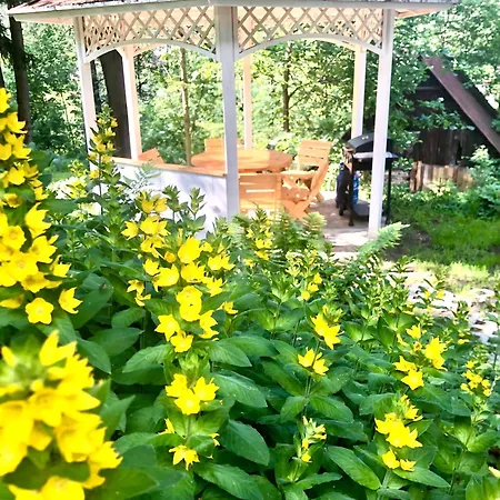 Kino Na Lace - Z Prywatna Sala Kinowa 招待所 Wojcieszyce