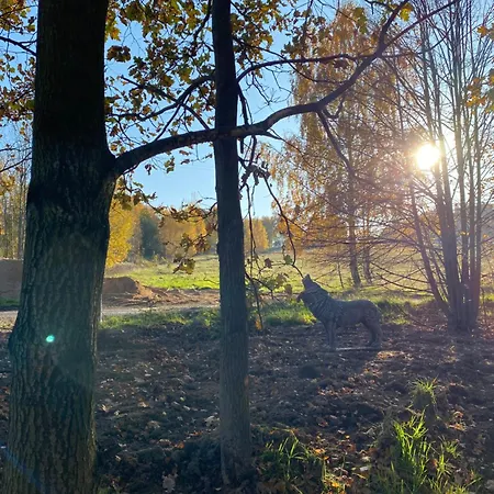 Kino Na Lace - Z Prywatna Sala Kinowa 招待所 Wojcieszyce