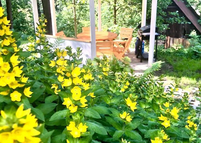 Kino Na Lace - Z Prywatna Sala Kinowa Gasthof Wojcieszyce