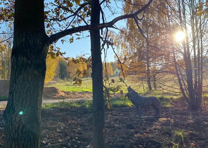 Kino Na Lace - Z Prywatna Sala Kinowa Gasthof Wojcieszyce